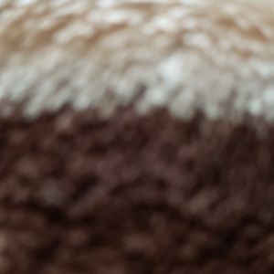 Meet your Posher, Mariah